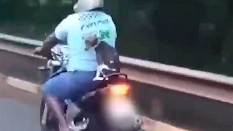 De carona em moto, cachorro é transportado sem qualquer proteção, em Campo Grande, MS