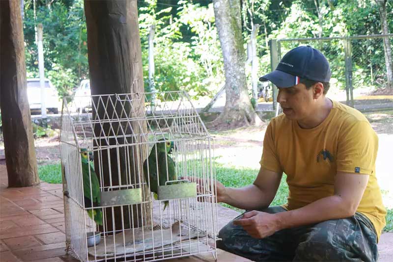 Profissional do Cras mostra papagaios que tiveram as asas cortadas. (Foto: Paulo Francis) 