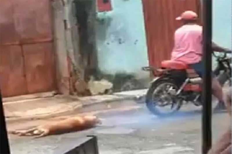 Homem arrasta cachorro com moto e é preso em Mato Grosso
