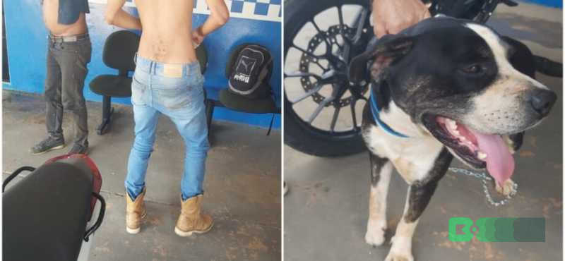 Animal vítima de zoofilia por morador de rua é espancado por 2 homens em Campo Novo, MT