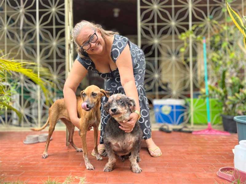 Única ONG que cuida de animais de rua em Santarém (PA) pede ajuda para não fechar as portas