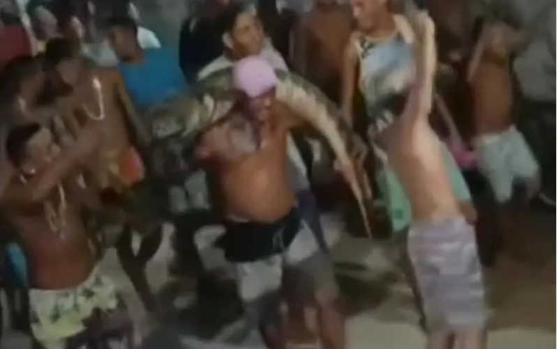 VÍDEO: jacaré aparece em rua de Olinda (PE) e moradores dançam com animal nas costas antes do resgate