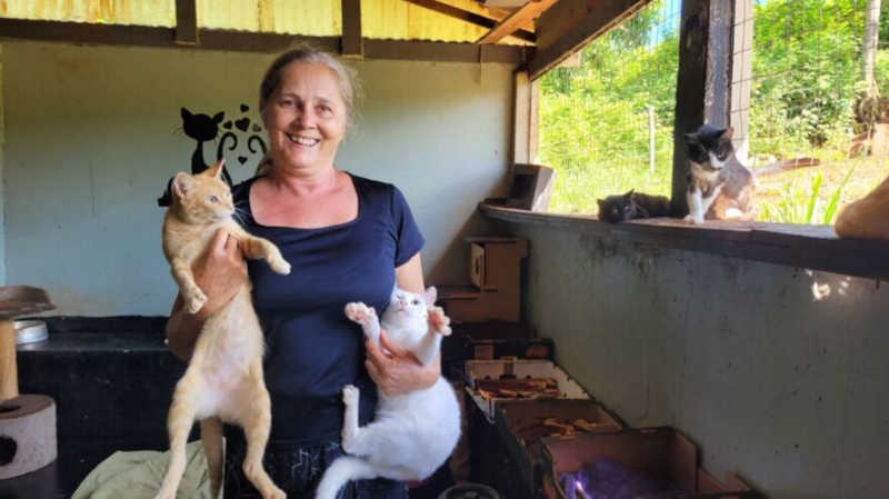 Protetores independentes cuidam de mil animais em Apucarana, PR; assista