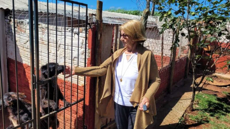Aos 82 anos, Júlia Bortolassi dedica boa parte do dia para cuidar de 40 cães em uma chácara. Foto por Lis Kato/TNonline