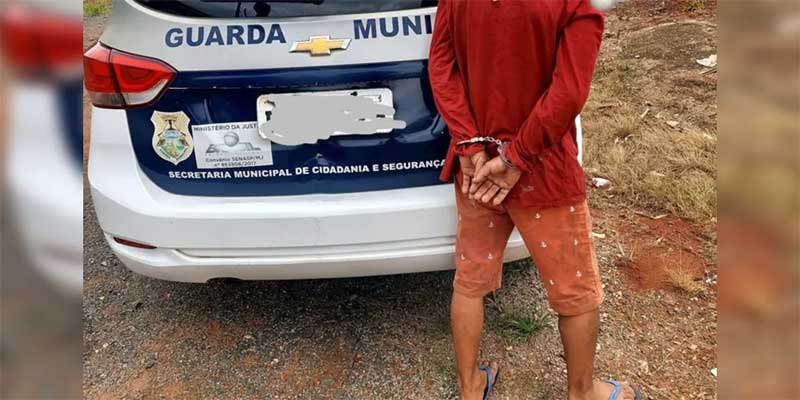 Homem é preso por maus-tratos contra cães em Ponta Grossa, PR