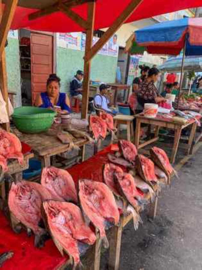 A selva amazônica é repleta de fauna e flora, porém os traficantes sempre se mantêm atentos para capturar os animais. Nesta imagem, pedaços de carne de animais em risco de extinção são vendidos no mercado de Iquitos. Foto: Paula Bayarte/EFE - 04.12.2022