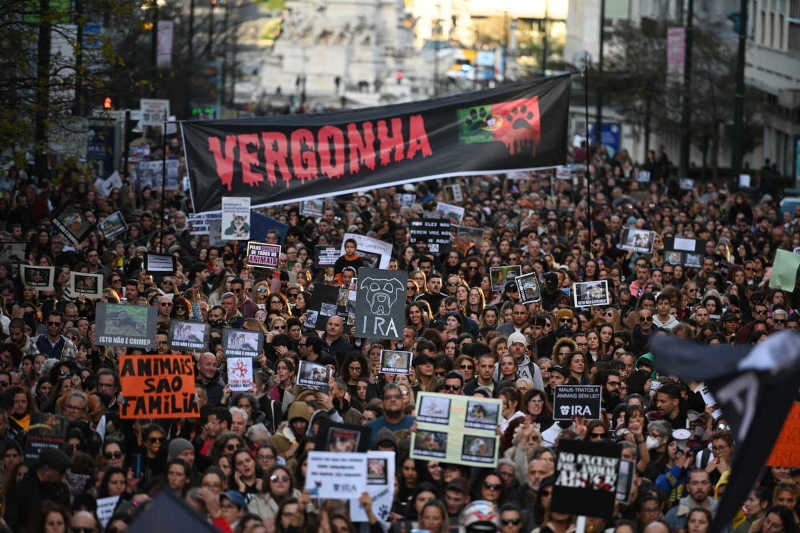 Milhares juntam-se em Lisboa contra inconstitucionalidade de lei protetora dos animais