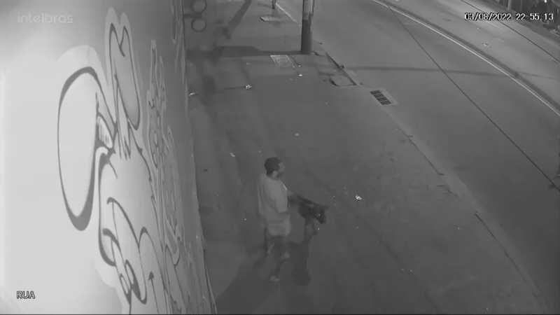Homem foi gravado por câmera de segurança abandonando o cachorro — Foto: Reprodução/TV Globo