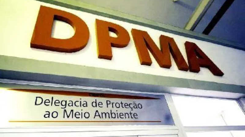 Delegacia de Proteção ao Meio Ambiente (DPMA) foi acionada; CRMV planeja interditar espaço e ouvir depoimento de acusados - Foto: Divulgação