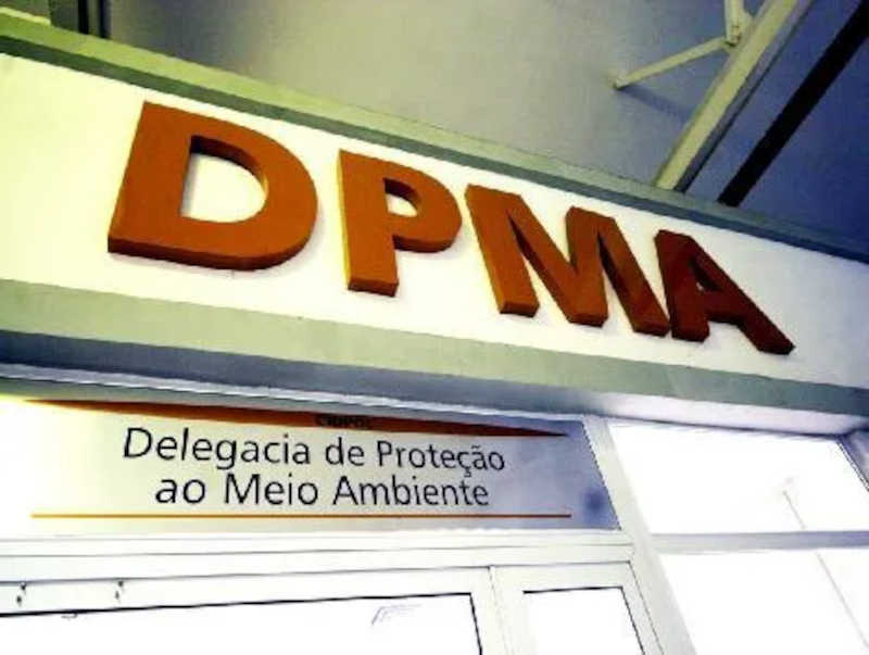 CRMV descobre clinica veterinária clandestina que tinha estudante como atendente em São Gonçalo, RJ