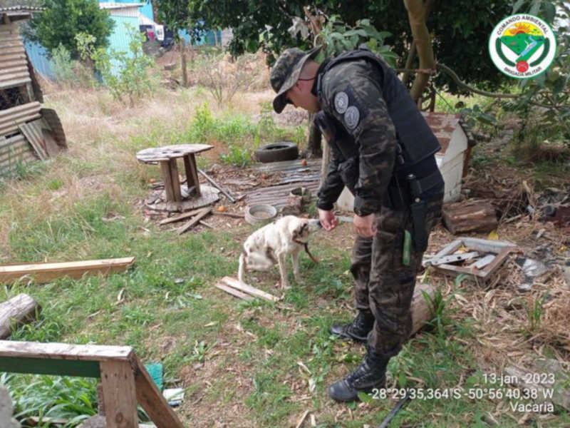 Batalhão Ambiental recolhe cachorro que sofria maus tratos em Vacaria, RS