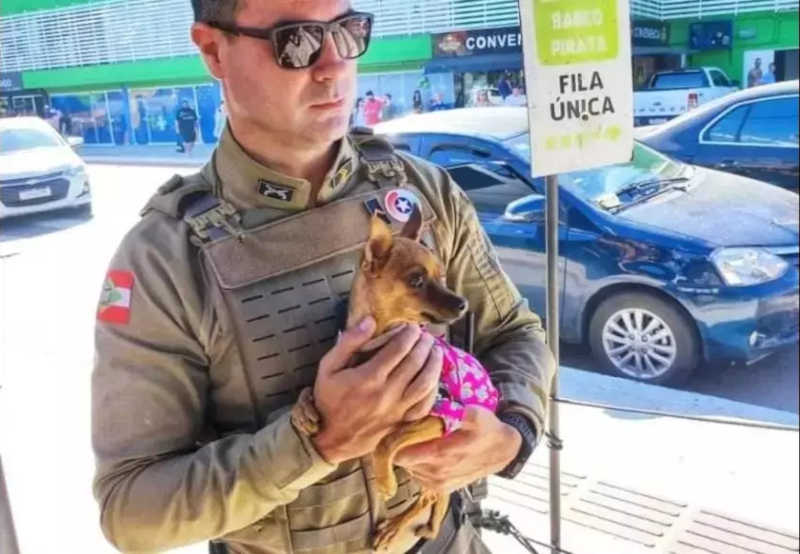 Homem é preso por deixar cachorro preso em carro no sol em Balneário Camboriú, SC