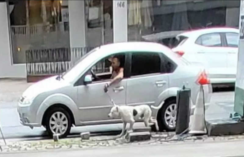 Motorista é flagrado arrastando cachorro pela coleira em Brusque, SC