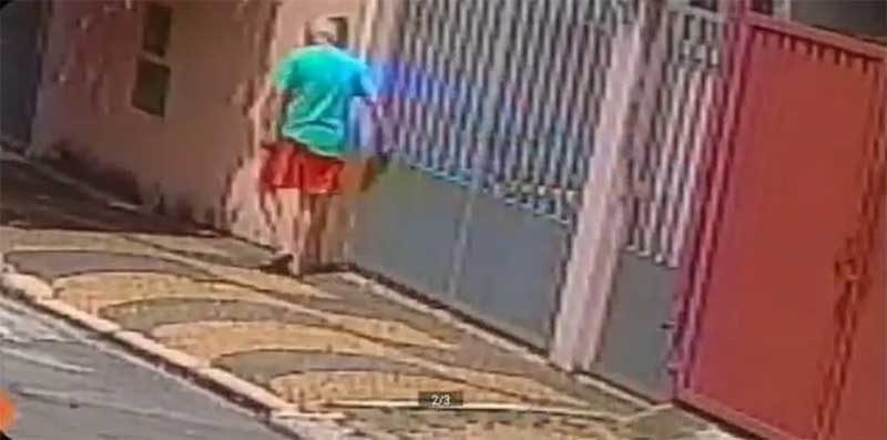 Polícia investiga envenenamento de cães da mesma rua em Campinas, SP; moradoras apontam vizinho como suspeito