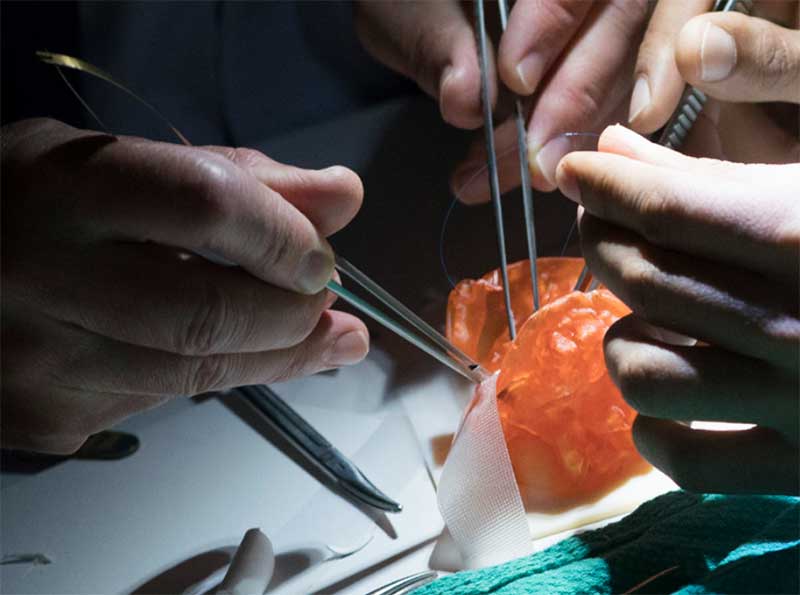 Medicina Veterinária da USP amplia uso de impressão 3D no treinamento de alunos