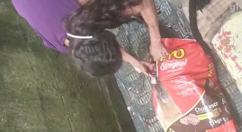 Mulher mata o próprio cachorro com golpes de faca e esconde animal em saco de ração em São Vicente — Foto: Reprodução