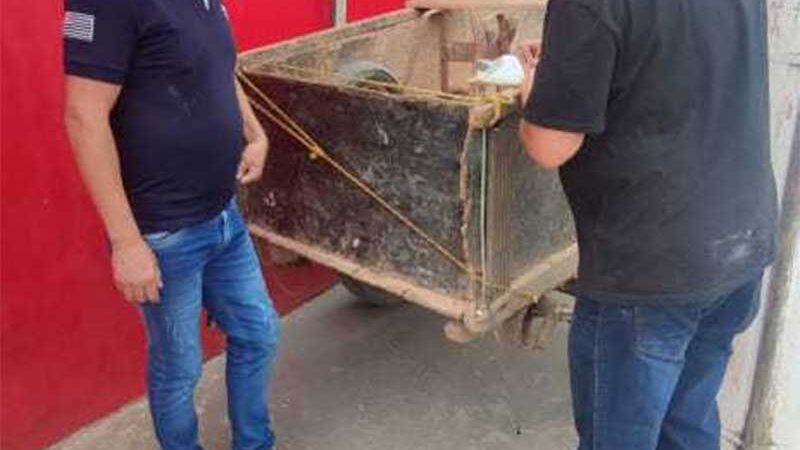 Infração foi aplicada porque animal estava sendo sobrecarregado ao transportar uma tonelada de resíduos da construção civil; denúncia foi feita pelo vereador Marcel da ONG