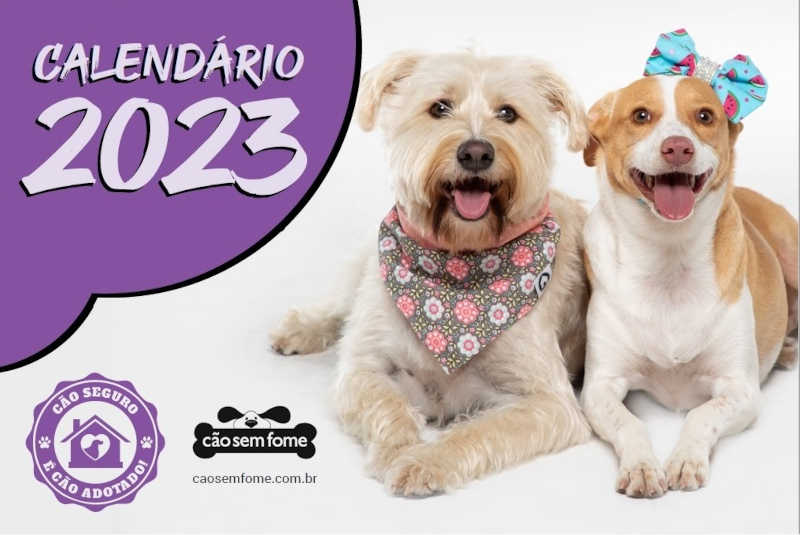 Projeto ‘Cão sem Fome’ lança calendários ilustrados 2023; venda é revertida para animais