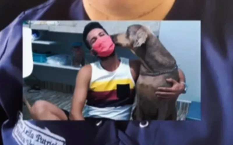 Cão é morto por eutanásia em Maceió e tutor denuncia caso à polícia; Zoonoses alega que animal estava em sofrimento