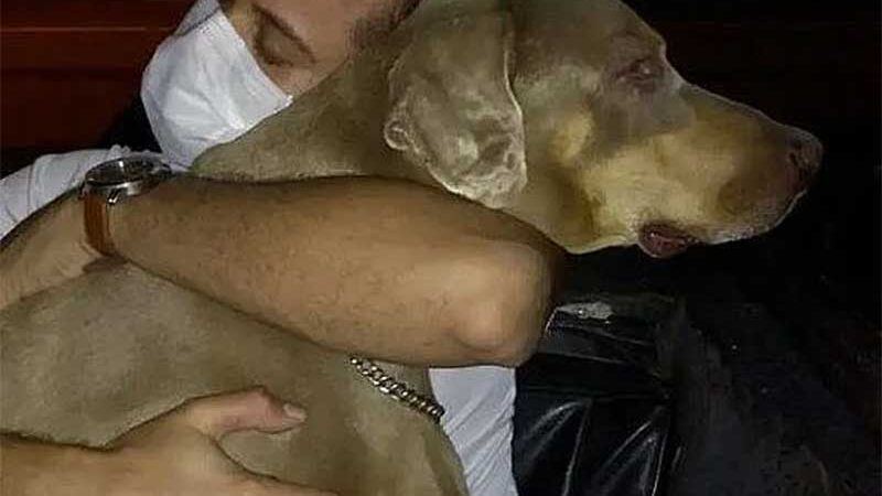 Polícia Civil vai investigar morte de cão submetido à “eutanásia” em Maceió, AL