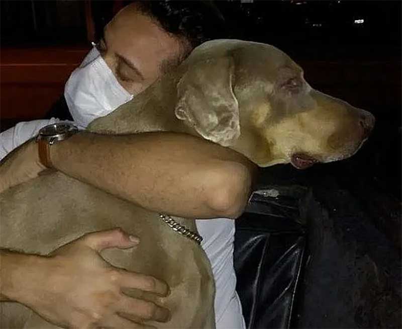 Polícia Civil vai investigar morte de cão submetido à “eutanásia” em Maceió, AL