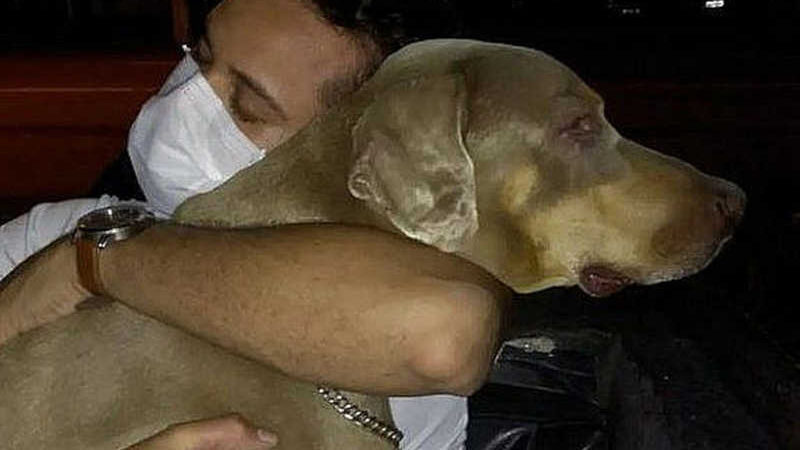 Prefeitura afasta funcionária que realizou eutanásia em cachorro em Maceió, AL