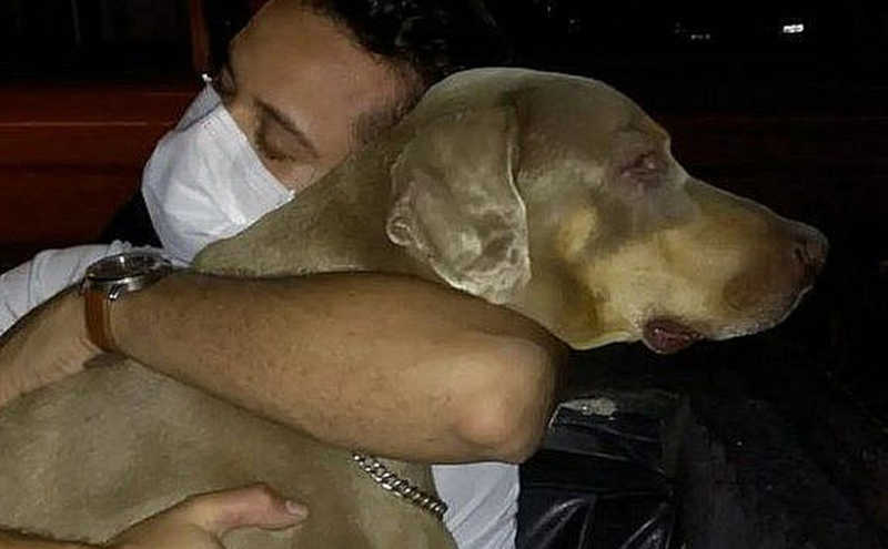 Prefeitura afasta funcionária que realizou eutanásia em cachorro em Maceió, AL