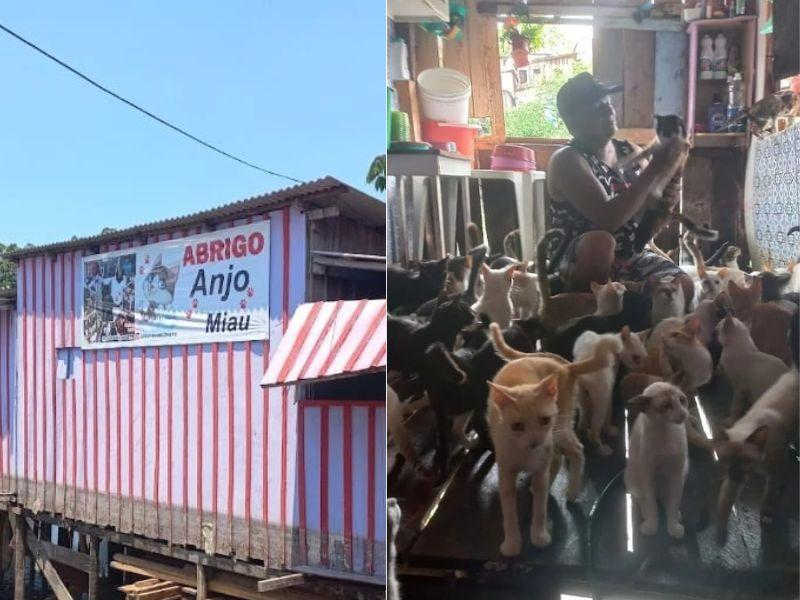 Abrigo busca ajuda para conseguir comprar ração e remédios para animais abandonados, em Manaus, AM