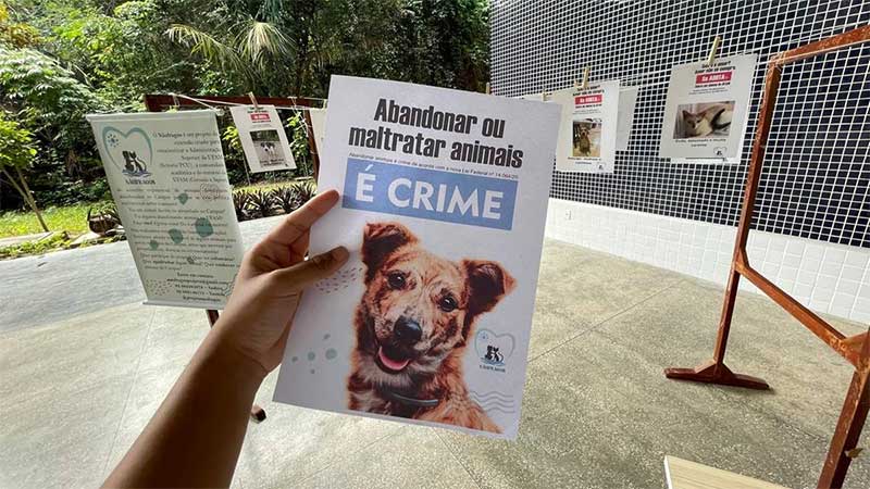 Universitários realizam campanha para ajudar animais abandonados no campus da Ufam