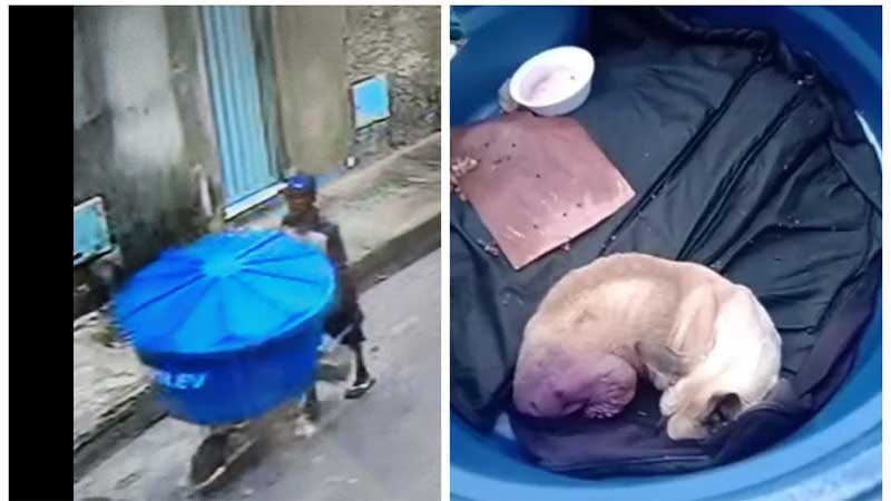 Câmeras de segurança mostram possível suspeito de envolvimento na morte do cachorro “Milagre”