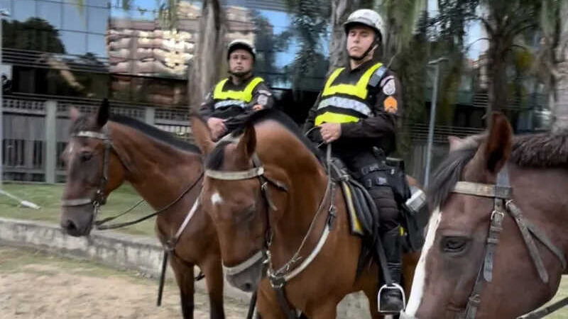Projeto de lei federal pretende proibir uso de cavalos em operações policiais