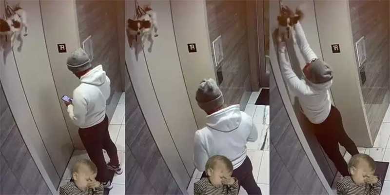 Cachorro fica pendurado para fora de elevador nos EUA; veja o vídeo