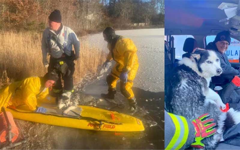 Cão é resgatado após cair no gelo em Wareham (MA), nos EUA