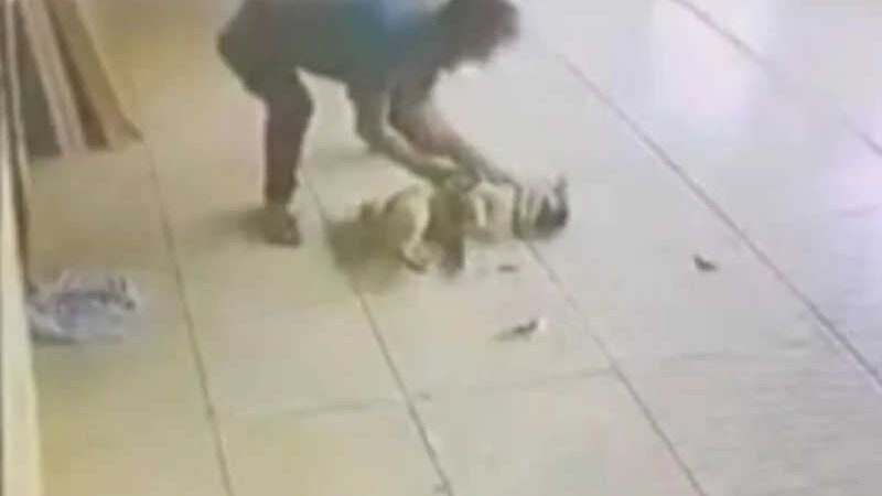 Vídeo: incomodado com latido, homem pula muro e espanca cão do vizinho, em Catalão, GO