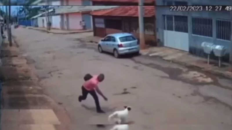 Vídeo: homem ataca cão a pedradas e deixa animal ferido em Valparaíso, GO