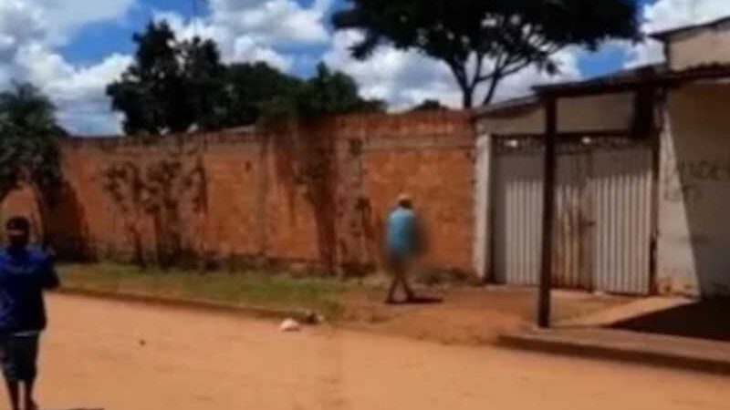 Vídeo: mulher é presa pela segunda vez por espancar cachorro, em Santo Antônio do Descoberto, GO