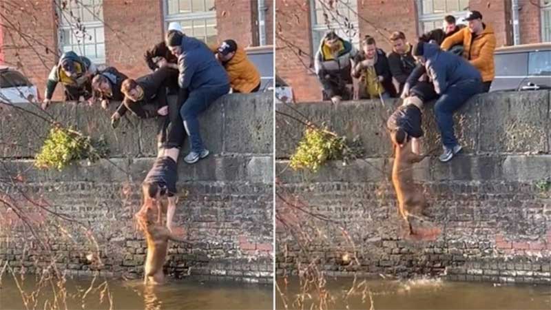 Estudantes se unem para salvar cão que caiu em canal com água gelada na Inglaterra