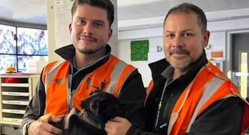 Maquinista em treinamento salva filhotinho de cachorro dos trilhos do trem