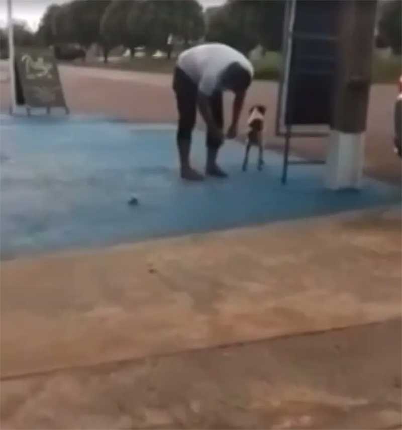 Vereador de MT é filmado colocando bombinha em rabo de cachorro; veja vídeo