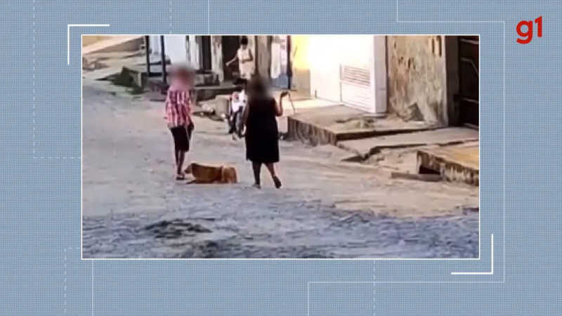 Casal é flagrado enquanto 'chicoteia' cachorro em Campina Grande — Foto: Reprodução/TV Paraíba