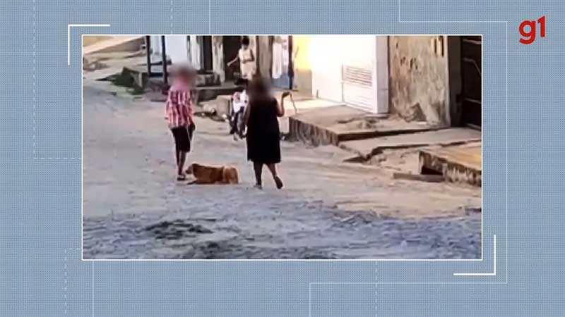 Casal é flagrado enquanto 'chicoteia' cachorro em Campina Grande — Foto: Reprodução/TV Paraíba