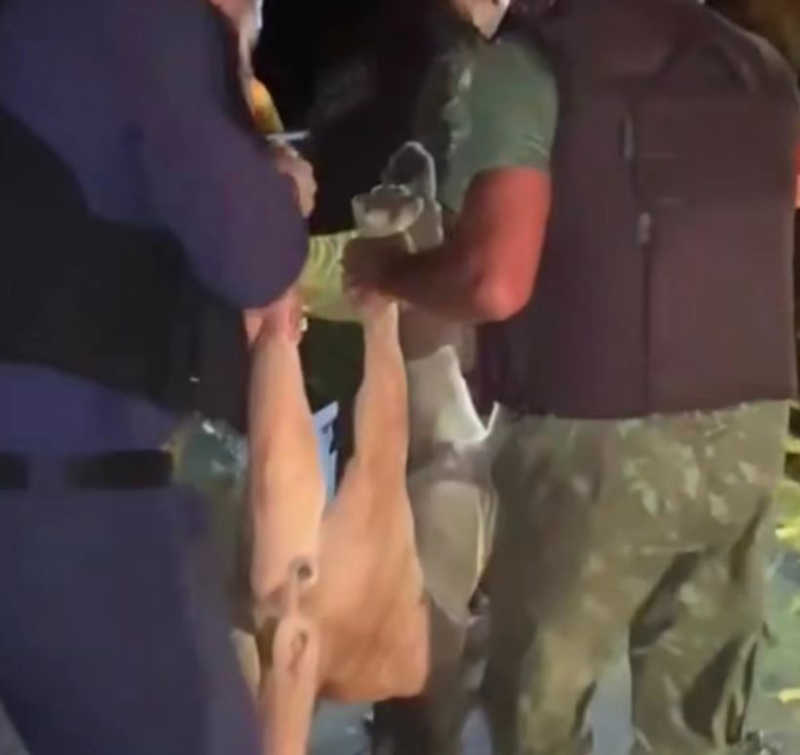 Morte de onça: Zoobotânico diz que animal foi capturado com vida, mas passou mal