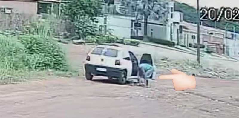 Vídeo mostra flagra de homem abandonando cachorra com dois filhotes em rua de Rolim de Moura, RO