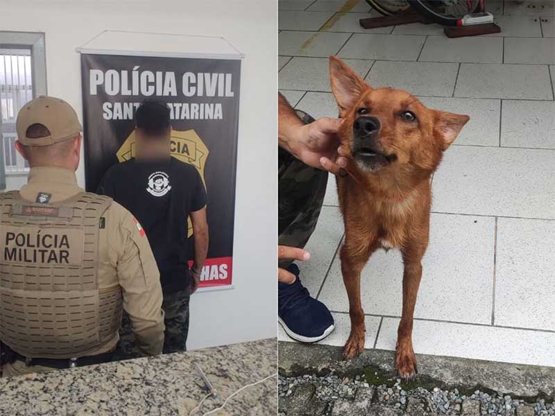 Suspeito de maltratar cão de estimação é preso em Bombinhas, SC
