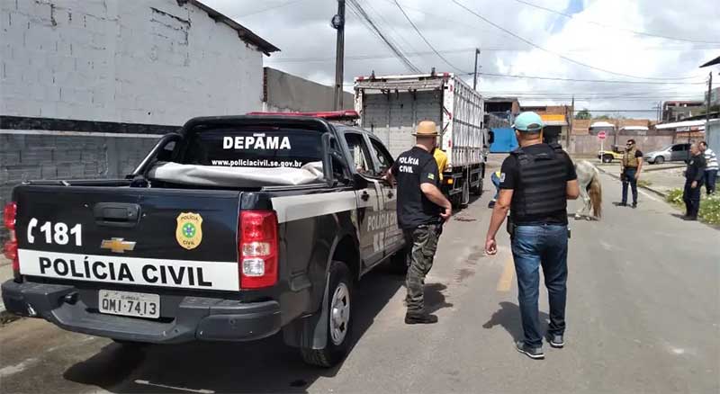 Ação conjunta da Depama e PM combate crimes de maus-tratos contra cavalos em  Aracaju, SE