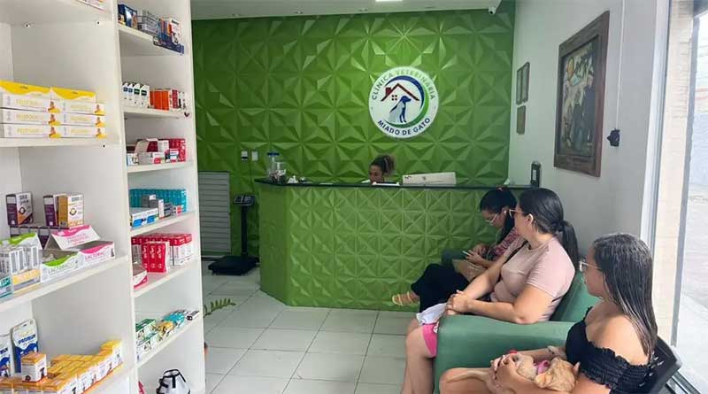Cadastro para castração de animais está suspenso em Aracaju, SE