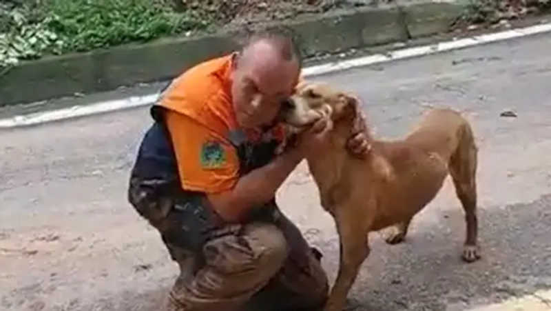 Vídeo: cachorro é resgatado de correnteza de lama e ‘agradece’ agente em São Sebastião, SP