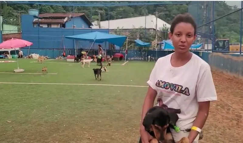 Moradores criam abrigo para cachorros que se perderam dos donos durante tragédia em São Sebastião