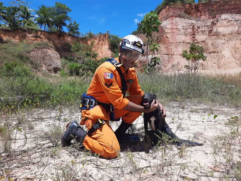 Cachorro após ser resgatado de ribanceira pelos bombeiros — Foto: Corpo de Bombeiros de Alagoas