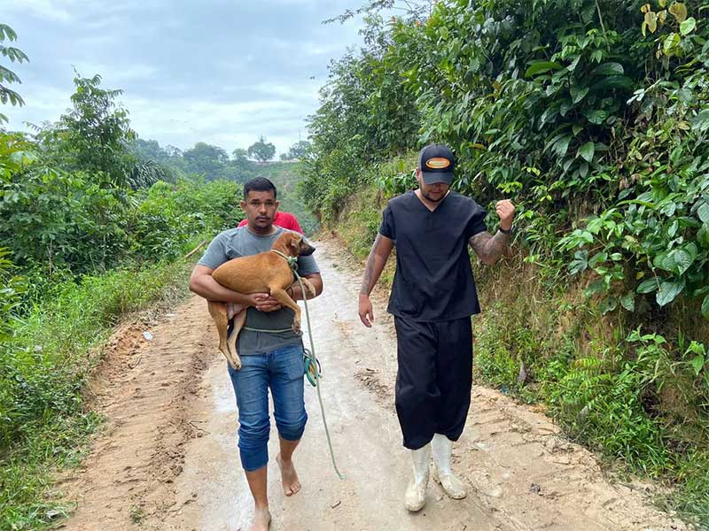 Mais de 20 animais são resgatados de área de deslizamento em Manaus, AM